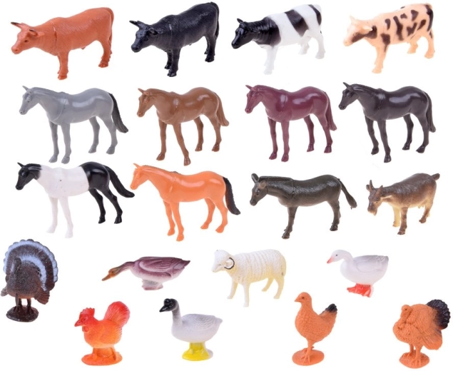 Realistiškos formos ir spalvos