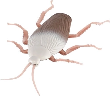 Patvari medžiaga ir saugus naudojimas