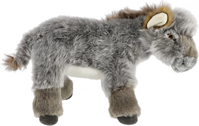 Saugus nuo gimimo (0+)