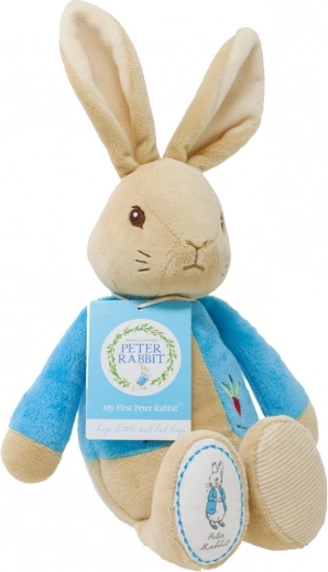 Išsiuvinėtos Detalės