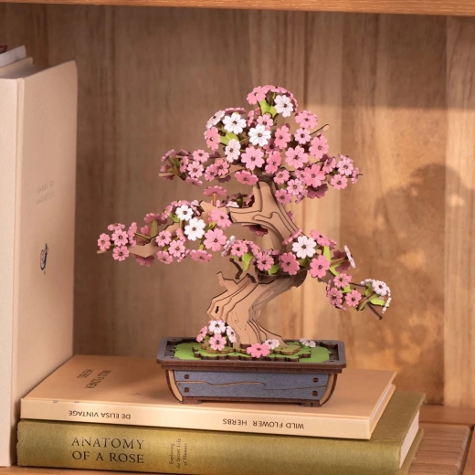 A decoration that builds skills