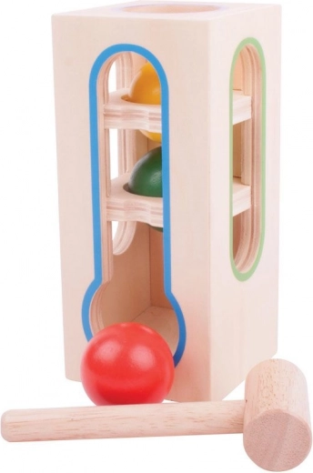 Development of Motor Skills and Coordination