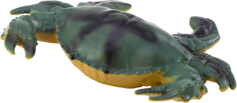 Realistiškos spalvos ir įvairūs jūros gyvūnai