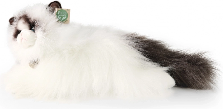 Realistiškas dizainas