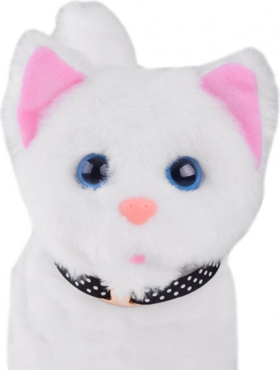 Galvytės, snukučio ir uodegos judesiai