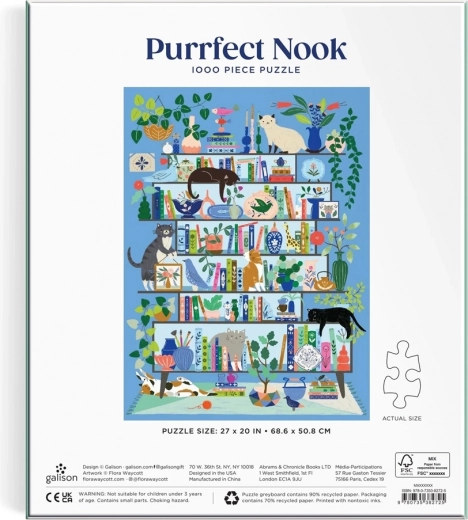 A scene full of cats, books, and color