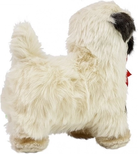 Eina pirmyn su linksma melodija