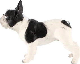 Kompaktiškas 6 cm dydis