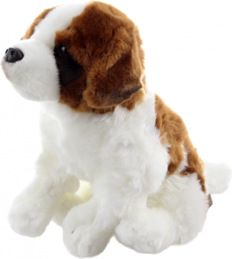 Saugus nuo gimimo ir draugiškas gamtai