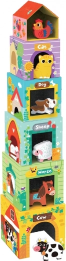 Motorikos ir koordinacijos lavinimas