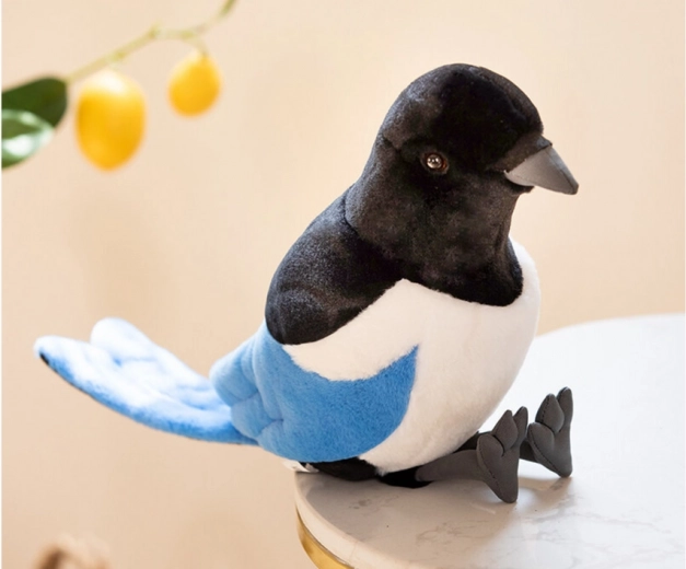 Saugumas ir sertifikatai