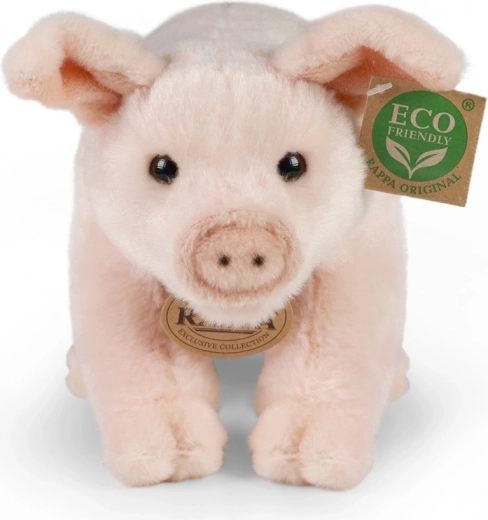 Gentle ECO‑FRIENDLY filling