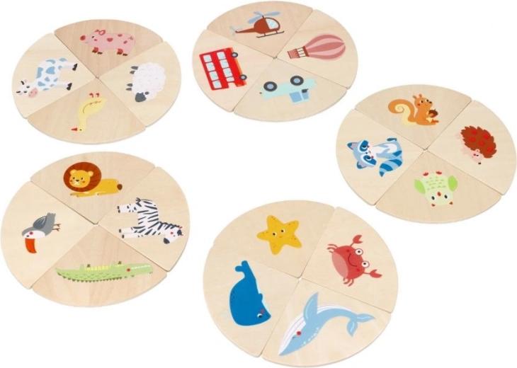 Didaktiniai apskriti dėlionių diskai