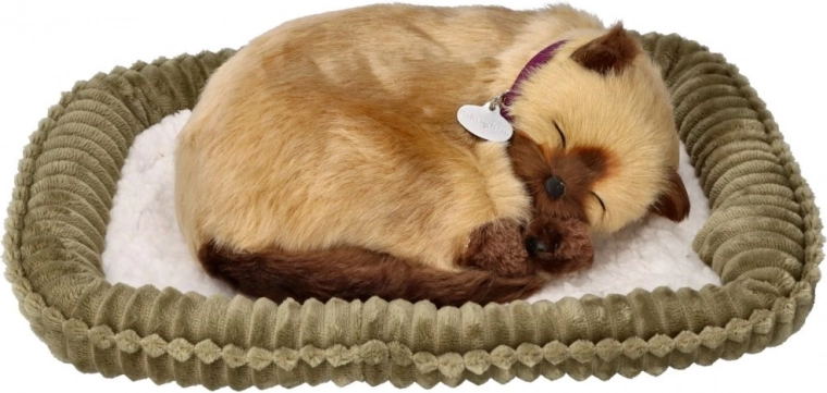 Minkštutis guolis eksponavimui