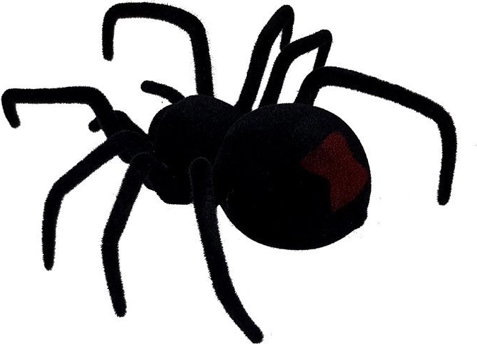 Sklandus judėjimas su 360° apsisukimu