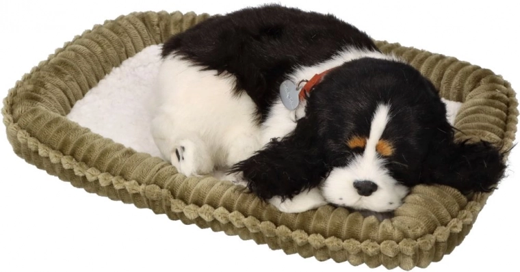 Tikroviška išvaizda ir patogumas