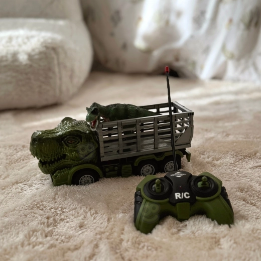 Nuotolinis valdymas ir šviesos efektai