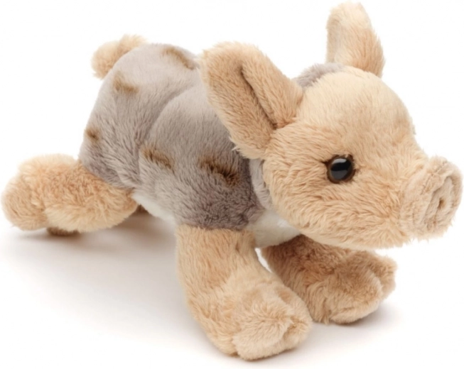 Lengvas ir idealus kelionėms