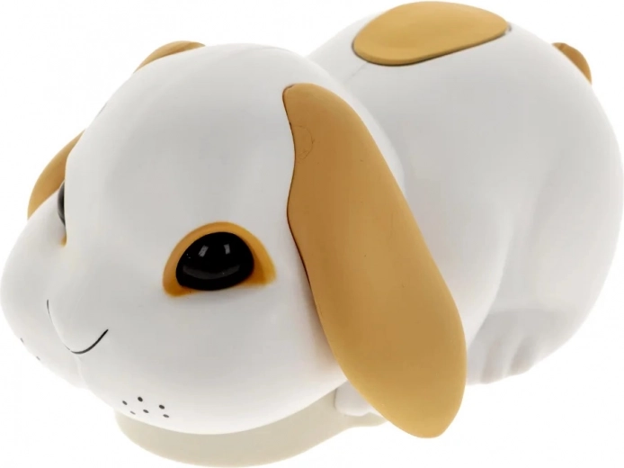 Nenuorama triušiukas, kuris įjudina pramogas