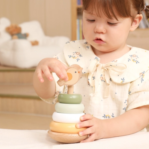 Motorikos ir loginio mąstymo lavinimas