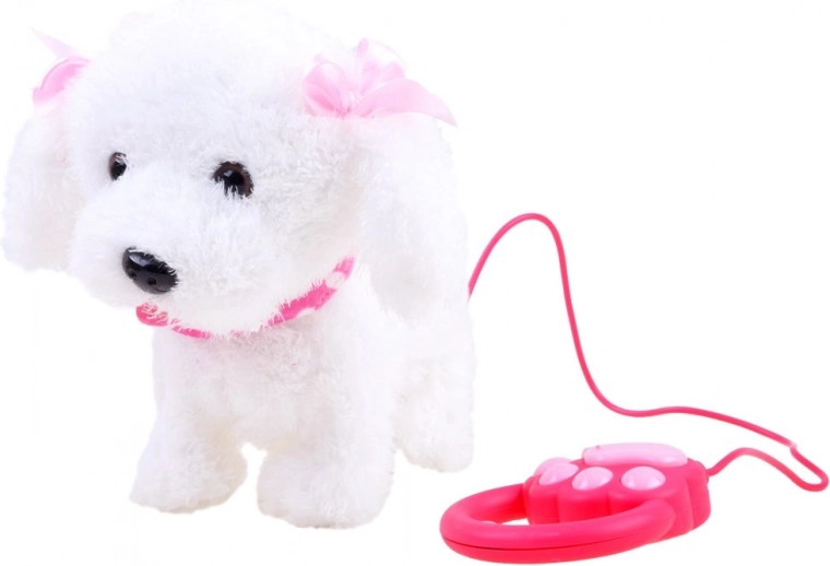 Walking on a leash with a button