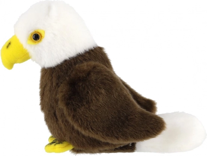 Realistiškos baltagalvio erelio detalės