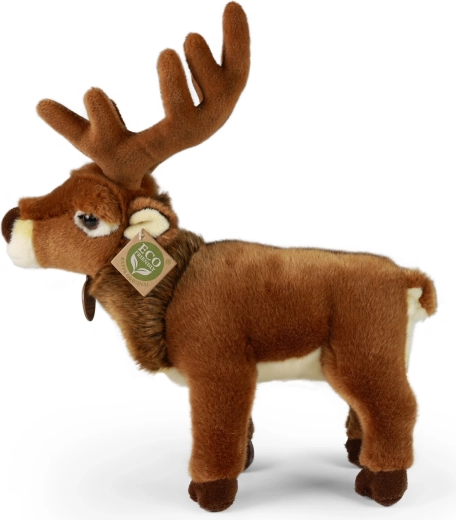 Idealus draugas miegui ir dekoracijai