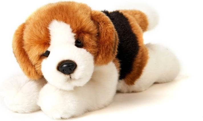 ECO FRIENDLY atlikimas