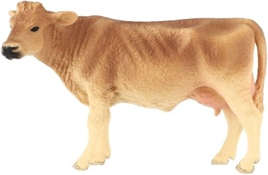 Edukacinė paskirtis