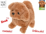 Interaktyvus pliušinis šuniukas Take Me Home 15,5 cm