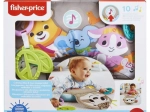 Fisher-Price tinginio pagalvėlė kūdikiui „Tinginys“