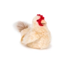 Plush Sitting Hen 23 cm