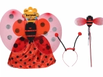 Ladybug Carnival Costume