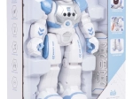 Multifunctional Interactive Robot SMART-BOT with Remote Control