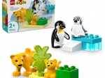 LEGO® DUPLO® 10442 Laukinių gyvūnų šeimos: pingvinai ir liūtai