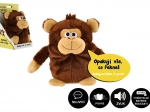 Plush Monkey Tonička repeats sentences 18 cm with sound